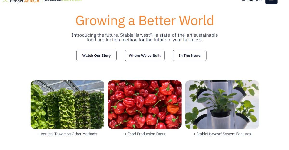 One World Fresh